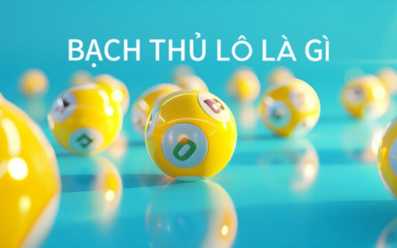 Bạch Thủ Lô Là Gì?